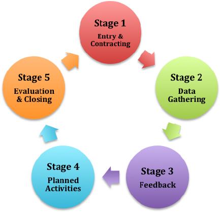 Image depiciting our cyclical consulting model